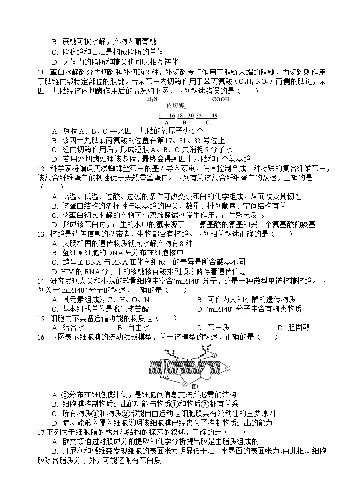 四川省南充高级中学2025-2026学年高一上学期10月月考试题生物试卷第3页