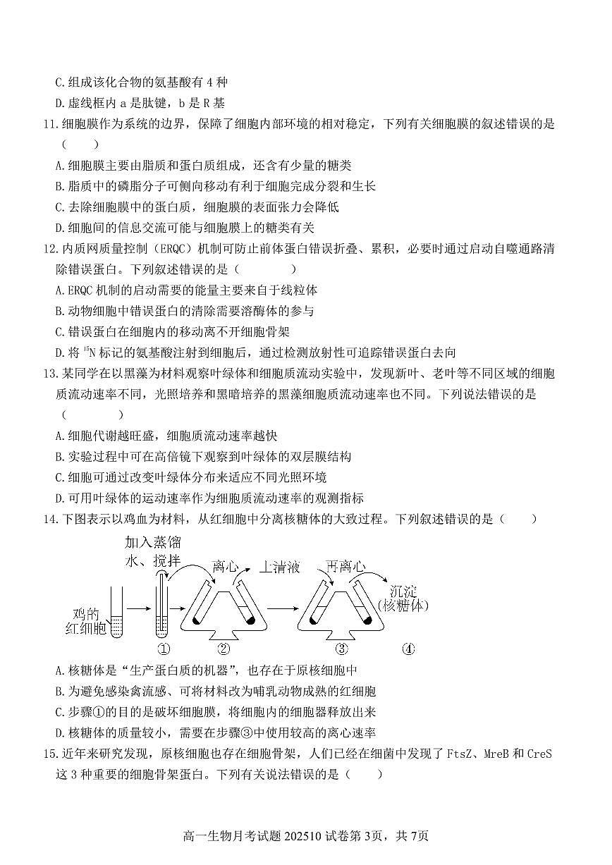 山东省烟台市莱阳第一中学2025-2026学年高一10月月考生物试题第3页
