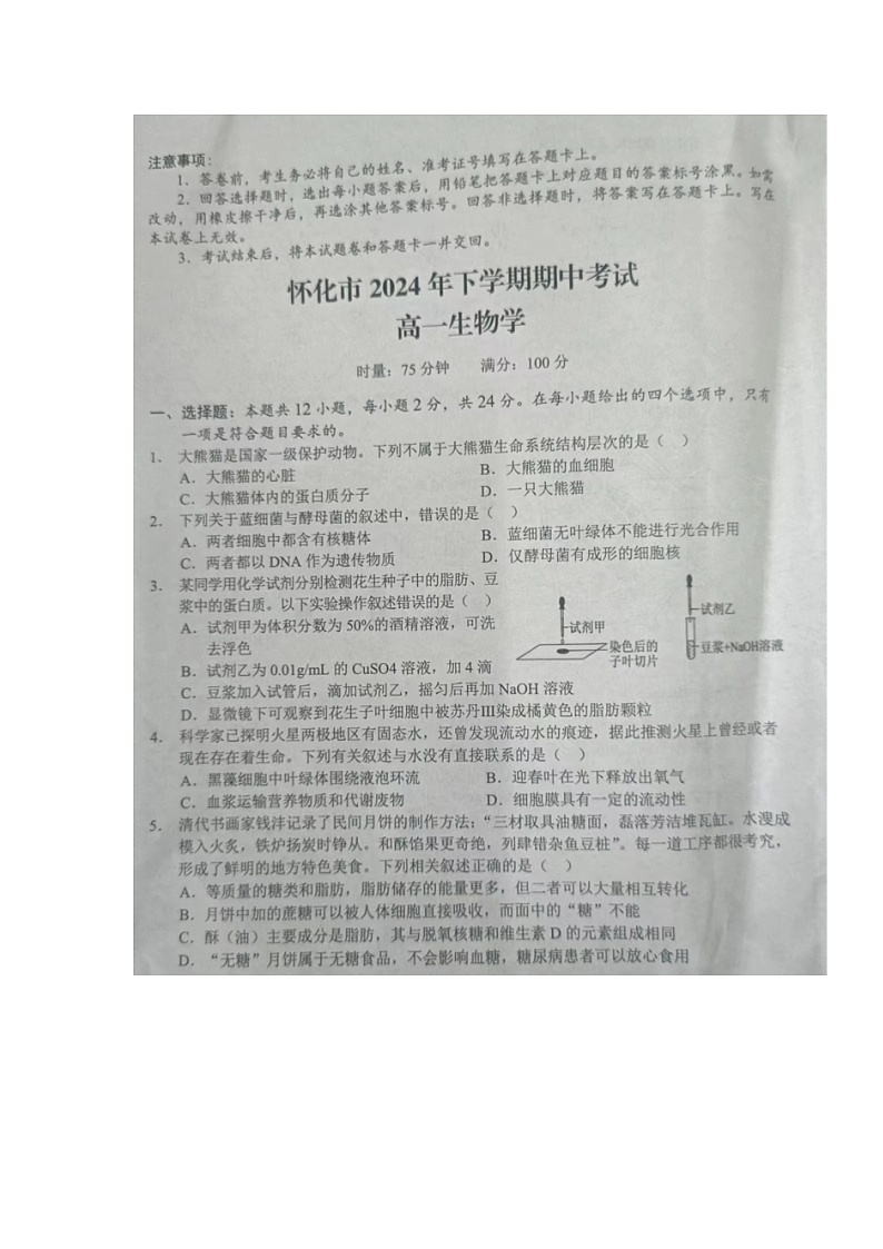 湖南省怀化市2024-2025学年高一上学期期中考试生物试题第1页