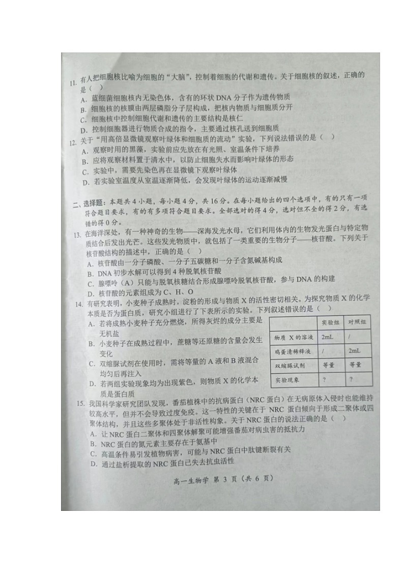 湖南省怀化市2024-2025学年高一上学期期中考试生物试题第3页