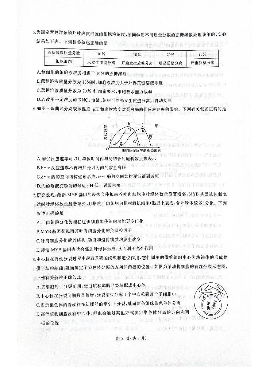 河北省衡水市2025-2026学年高三上学期四调考试 生物 PDF版含解析第2页