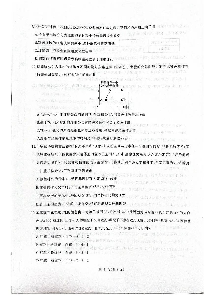 河北省衡水市2025-2026学年高三上学期四调考试 生物 PDF版含解析第3页