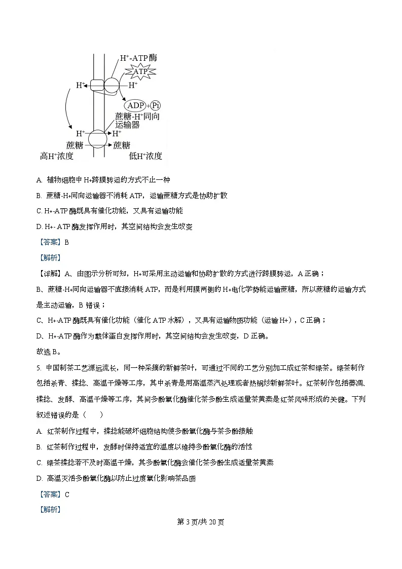 湖南省多校联考2026届高三上学期10月月考生物试题 Word版含解析第3页