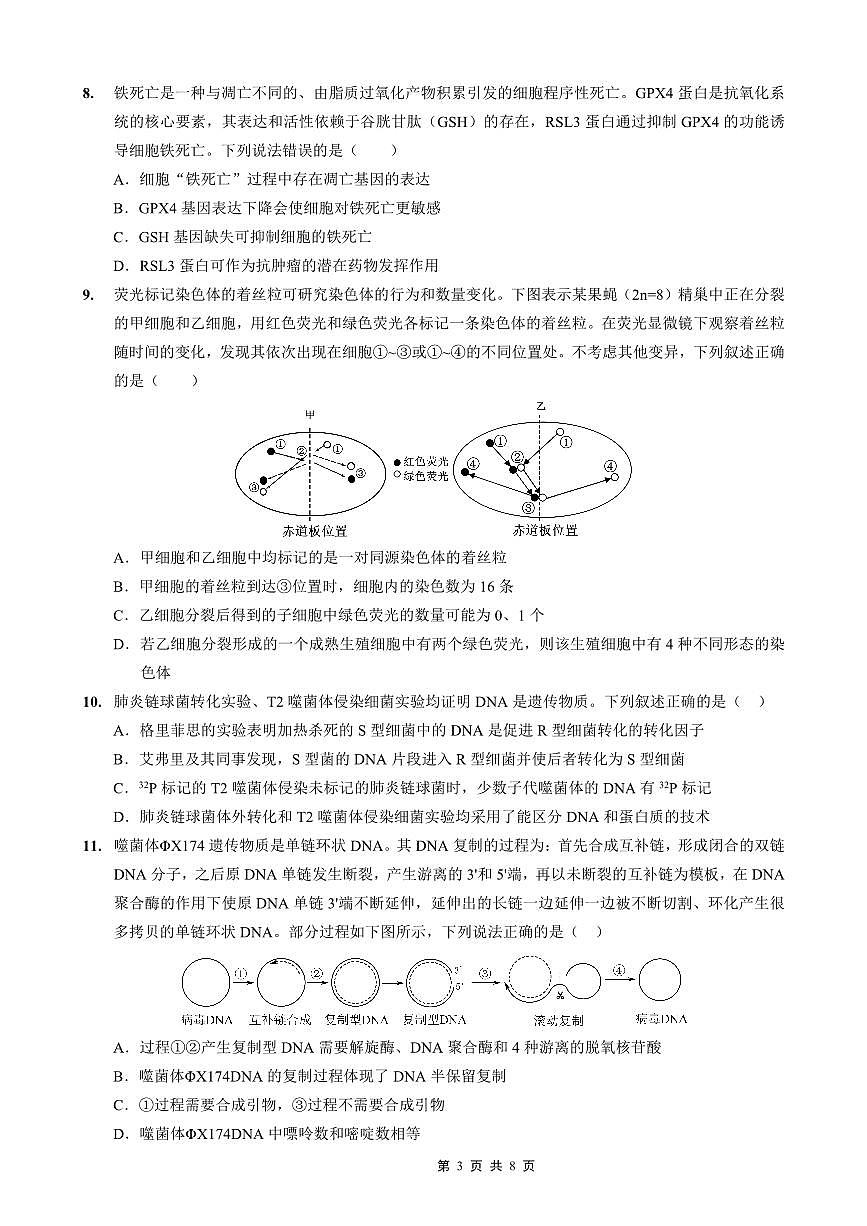 重庆实验外国语学校2026届高三上学期10月月考（四）生物试题+答案第3页