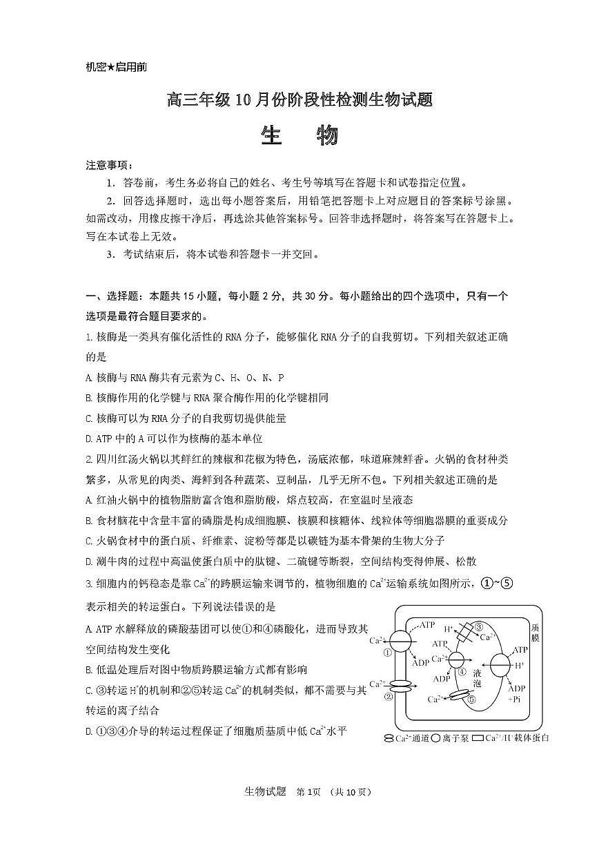 山东师大附中2026届高三上学期10月阶段检测生物试题+答案第1页