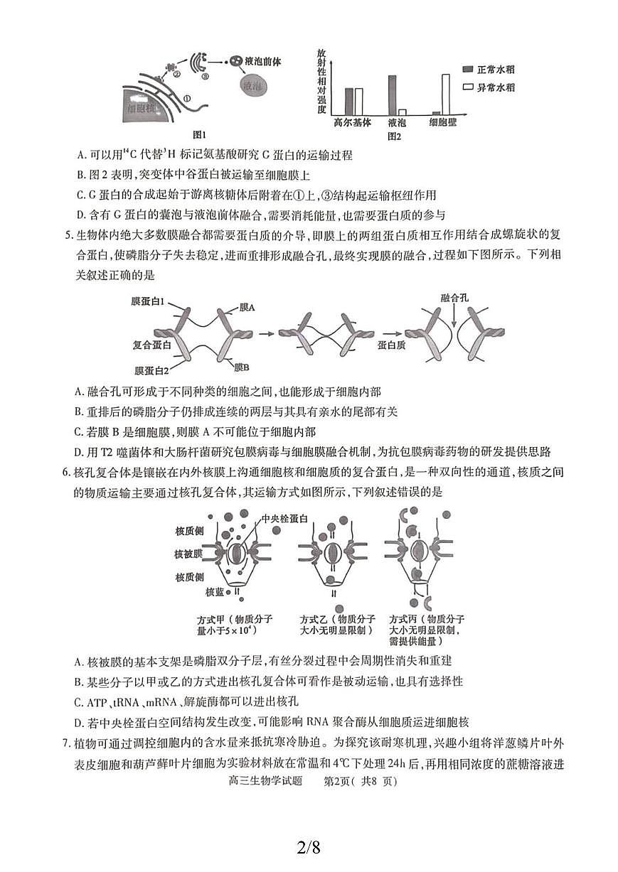 河南省信阳市2026届高三上学期10月第一次教学质检生物试题+答案第3页