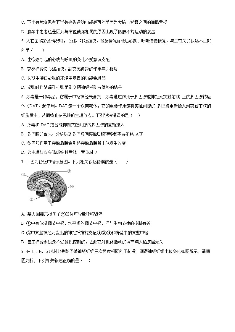 安徽省合肥市七中2025-2026学年高二上学期10月考试生物试卷第2页