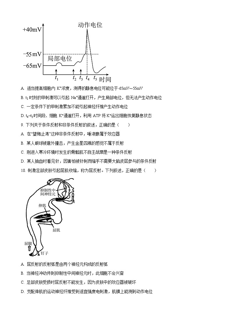 安徽省合肥市七中2025-2026学年高二上学期10月考试生物试卷第3页