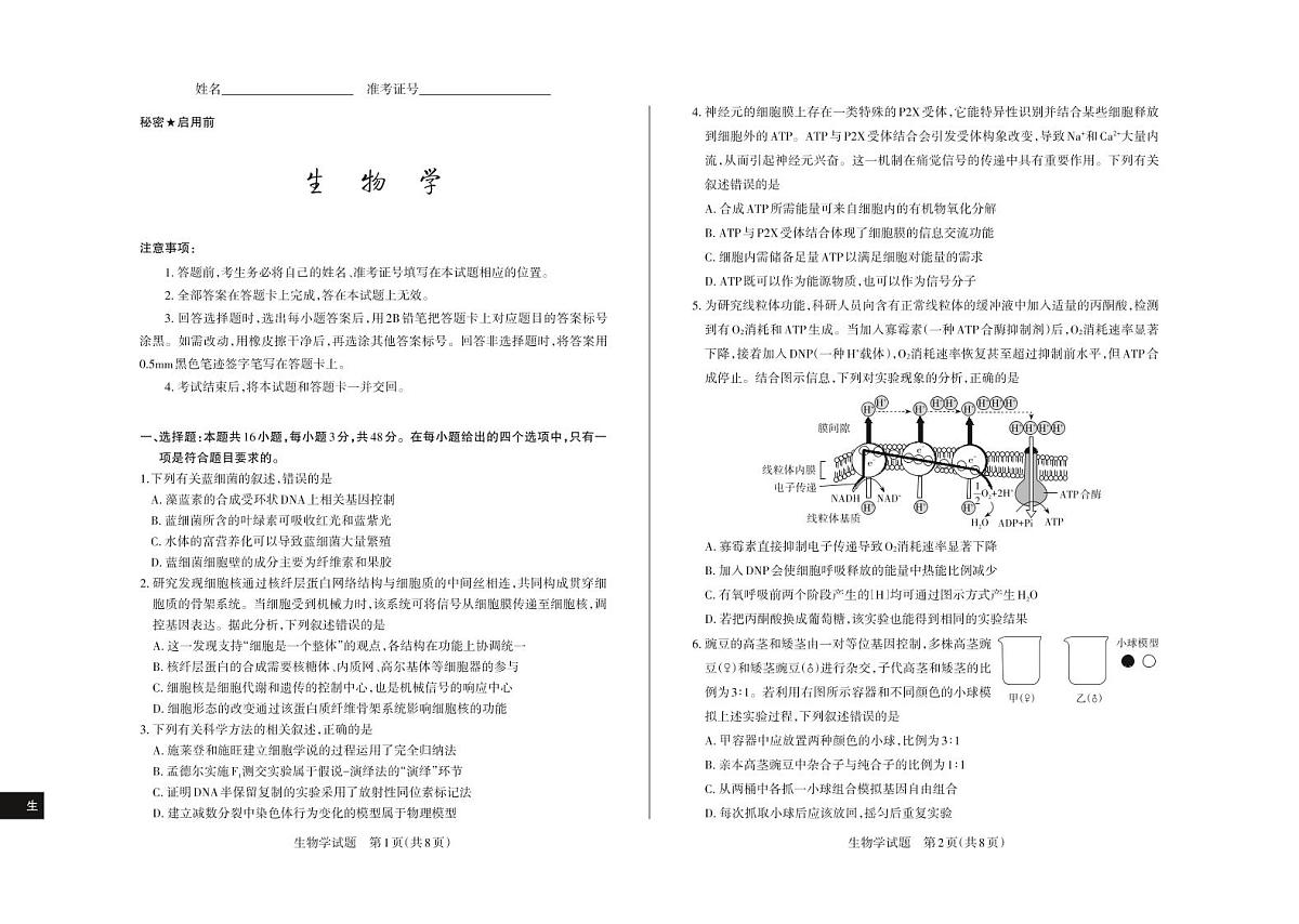 生物-山西思而行2025-2026学年高三上学期备考核心模拟中期考试试卷及答案第1页