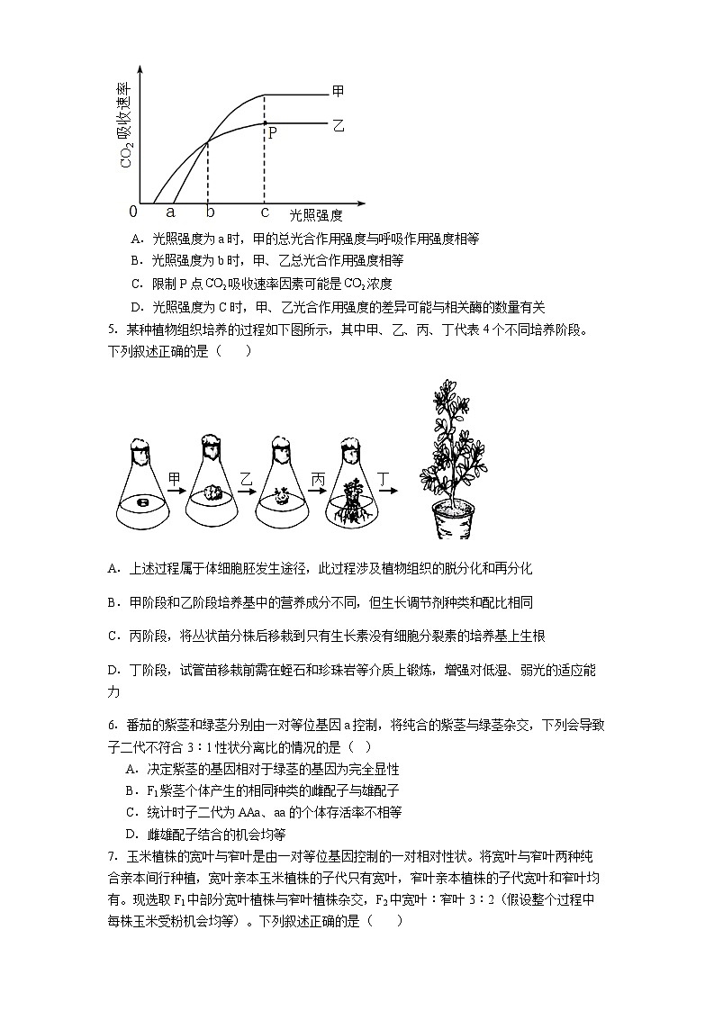 遵义市第四中学2025-2026学年高三上学期10月月考生物试题第2页