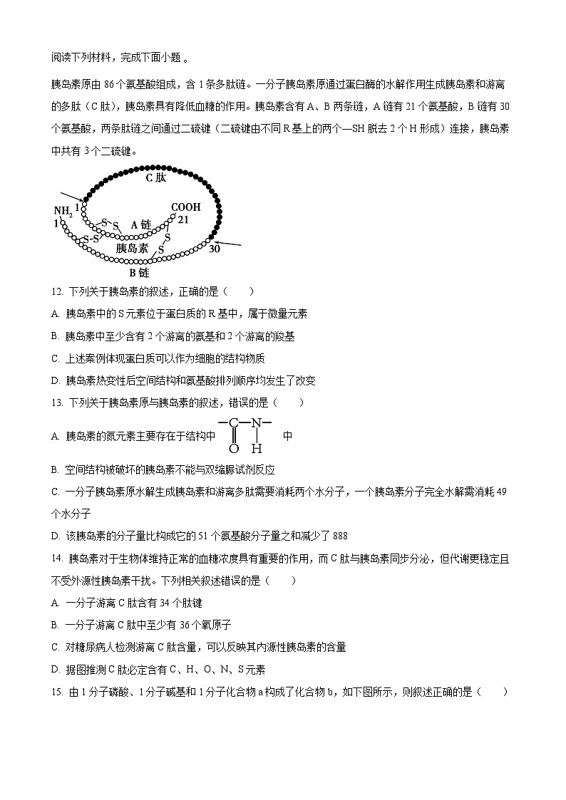  浙江省精诚联盟2025-2026学年高一上学期10月联考生物试题（原卷版）第3页
