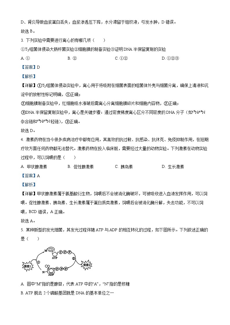 浙江六校联盟2025-2026学年高二上学期10月月考生物试题 Word版含解析第2页
