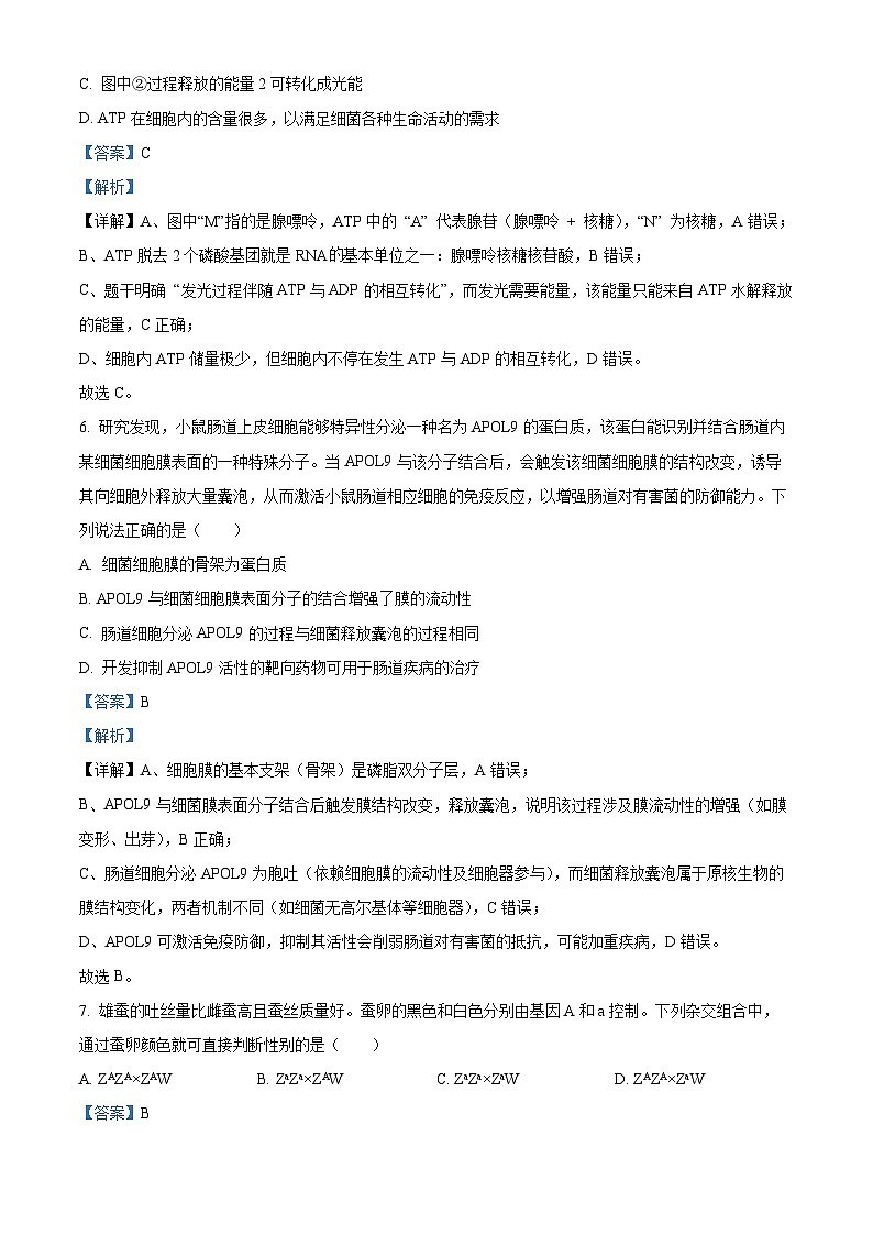 浙江六校联盟2025-2026学年高二上学期10月月考生物试题 Word版含解析第3页