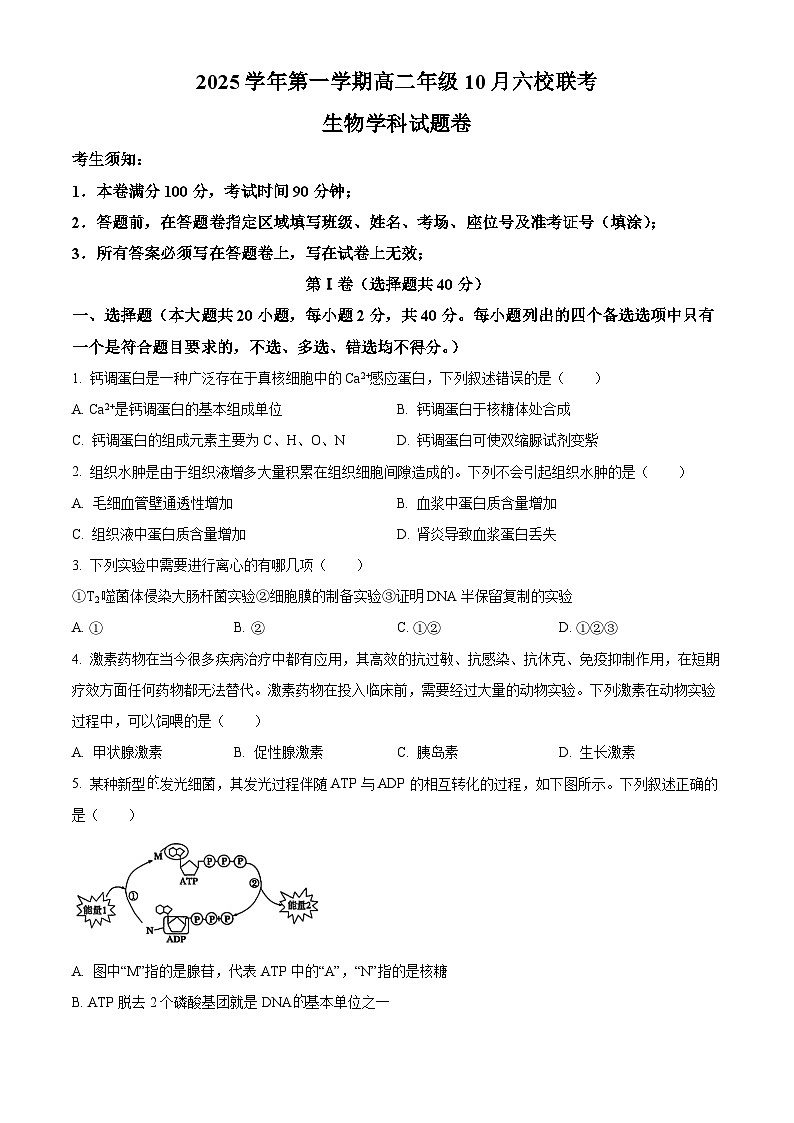 浙江六校联盟2025-2026学年高二上学期10月月考生物试题（原卷版）第1页