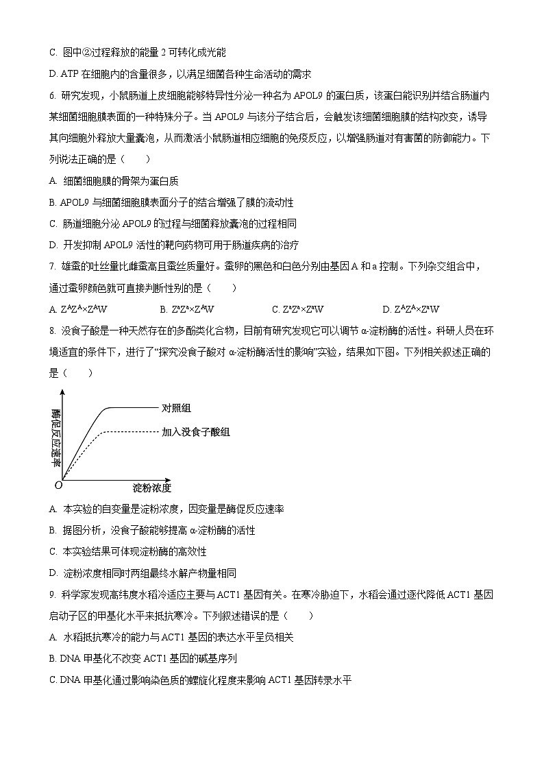 浙江六校联盟2025-2026学年高二上学期10月月考生物试题（原卷版）第2页