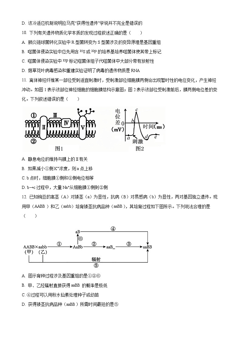 浙江六校联盟2025-2026学年高二上学期10月月考生物试题（原卷版）第3页