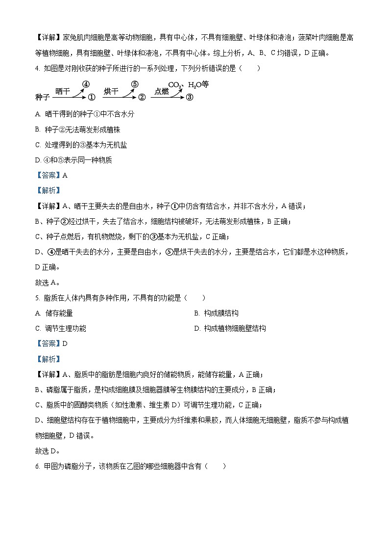浙江省六校联盟2025-2026学年高一上学期10月月考生物试题 Word版含解析第2页
