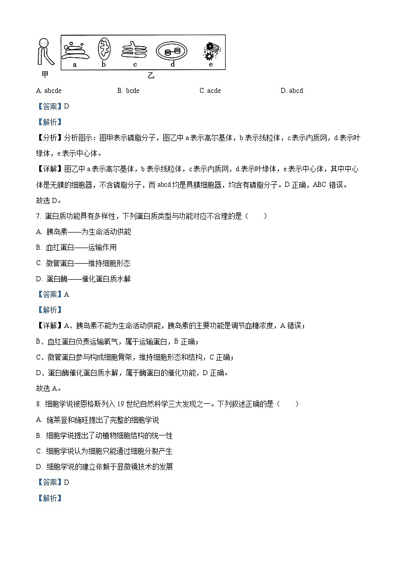 浙江省六校联盟2025-2026学年高一上学期10月月考生物试题 Word版含解析第3页