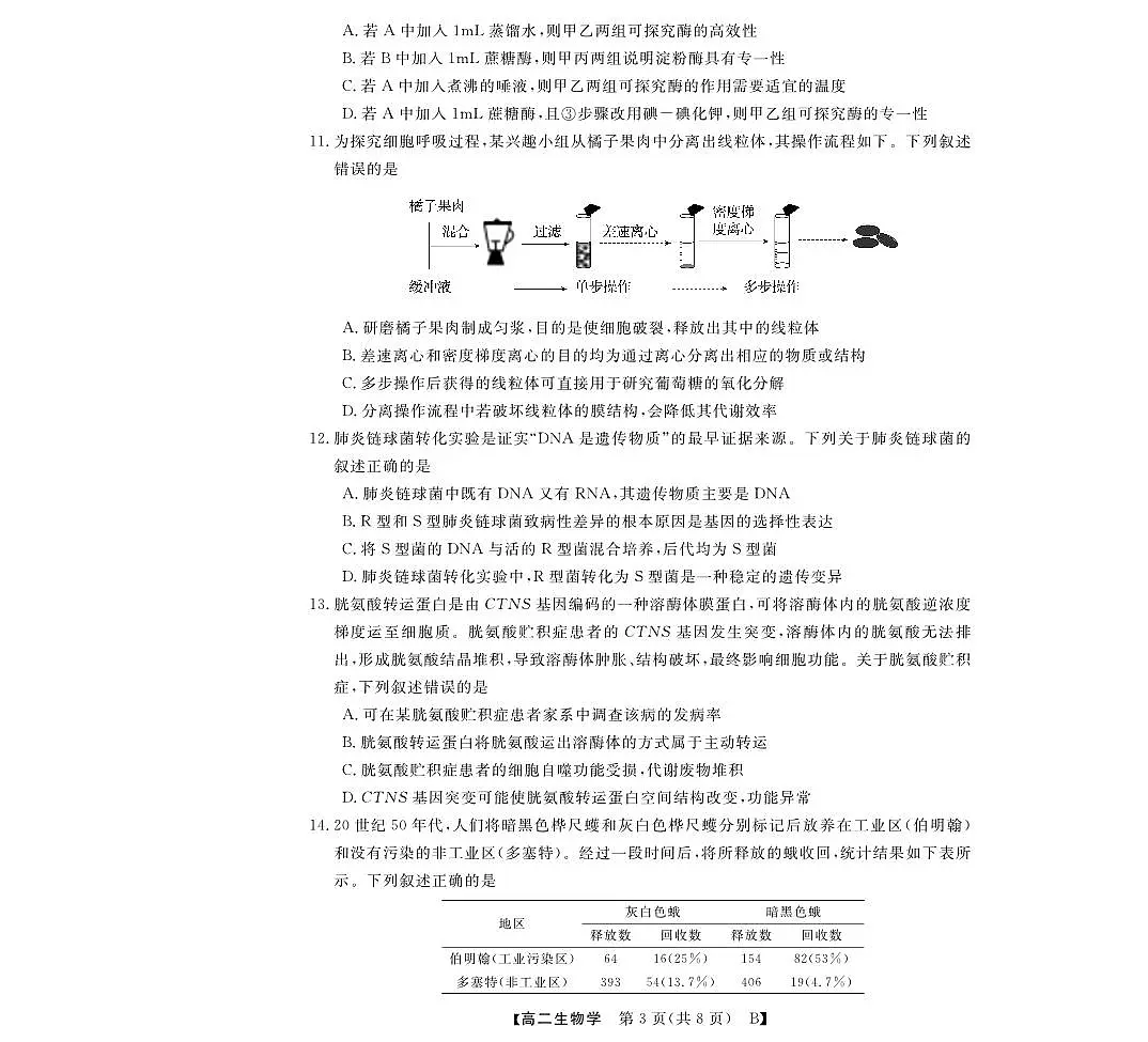 高二B卷第3页