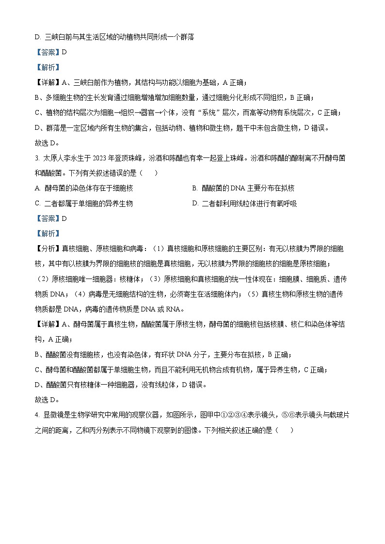 安徽省亳州市第二完全中学2025-2026学年高一上学期10月月考生物试题 Word版含解析第2页