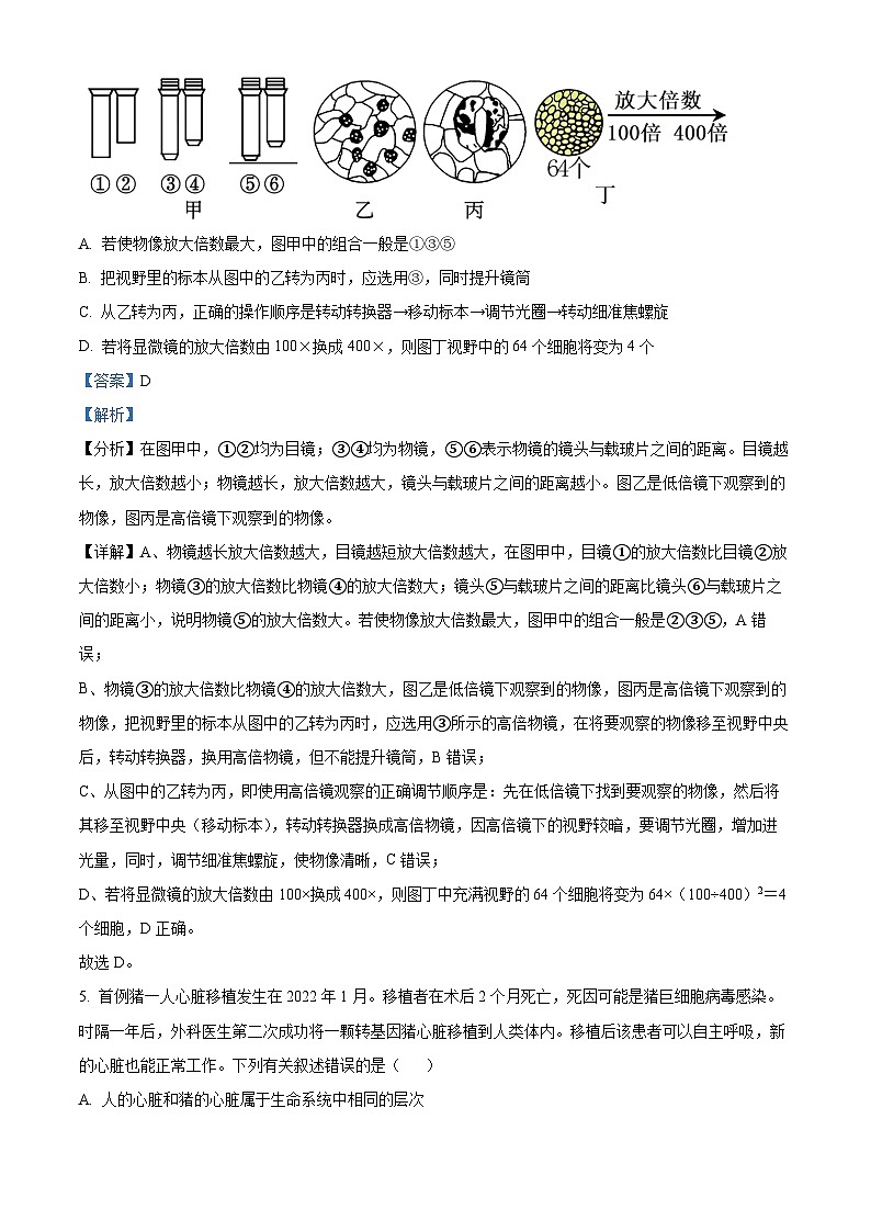 安徽省亳州市第二完全中学2025-2026学年高一上学期10月月考生物试题 Word版含解析第3页