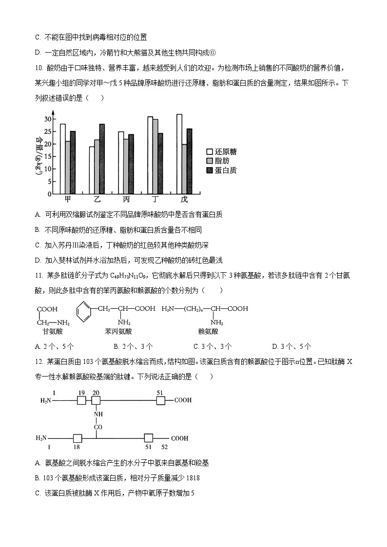 安徽省亳州市第二完全中学2025-2026学年高一上学期10月月考生物试题（原卷版）第3页