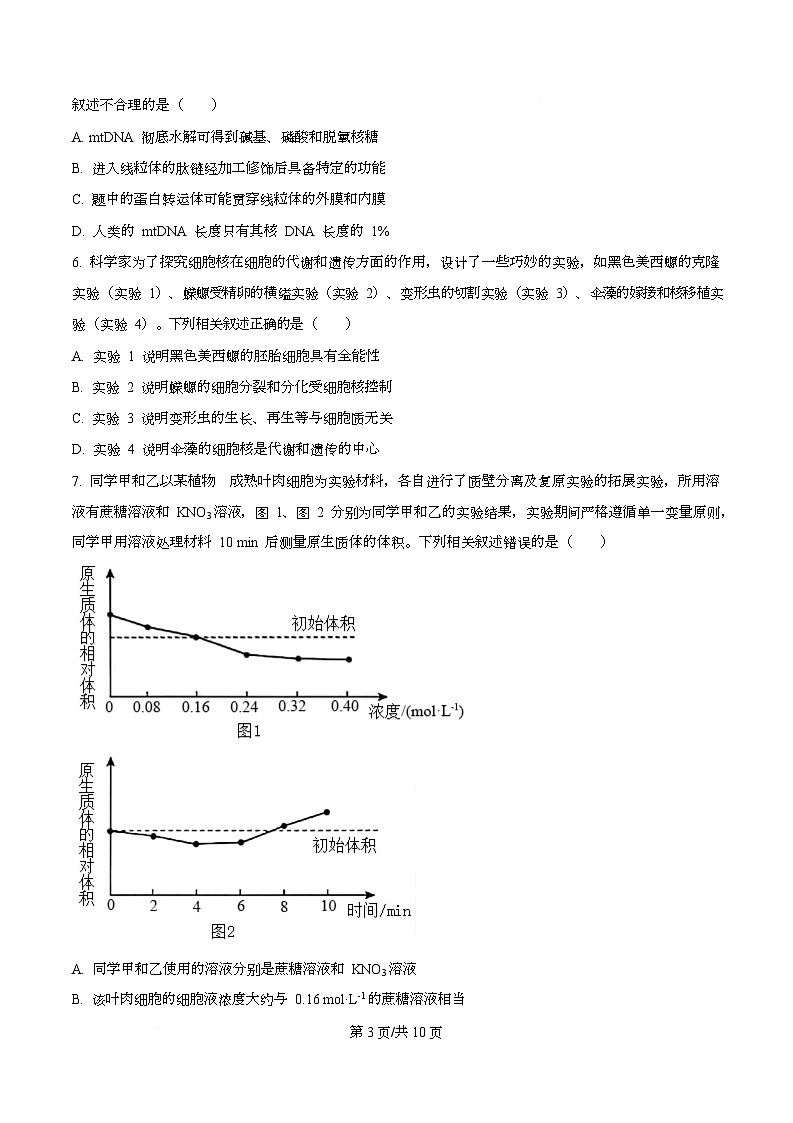 安徽省部分学校2026届高三上学期十月调研考试生物试题（合肥专版）（原卷版）第3页