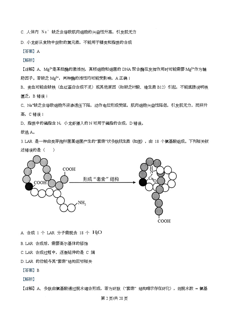 安徽省部分学校2026届高三上学期十月调研考试生物试题（合肥专版） Word版含解析第2页