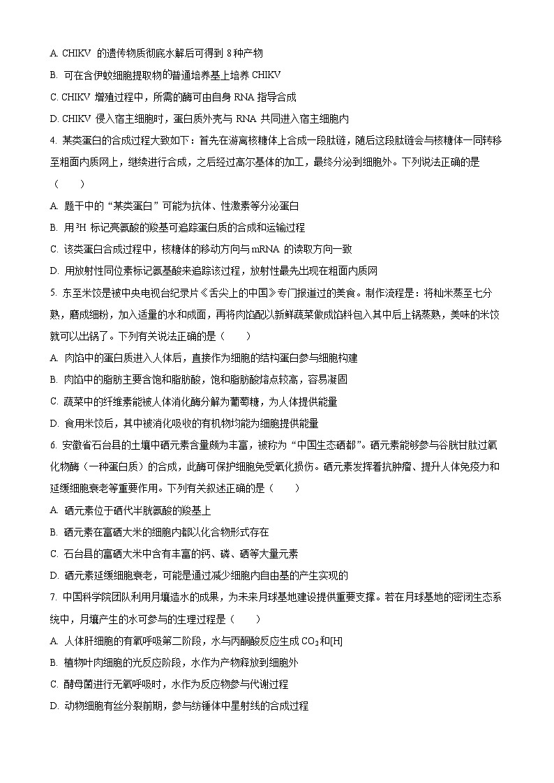 安徽省鼎尖名校大联考2026届高三上学期10月月考生物试题A （原卷版）第2页