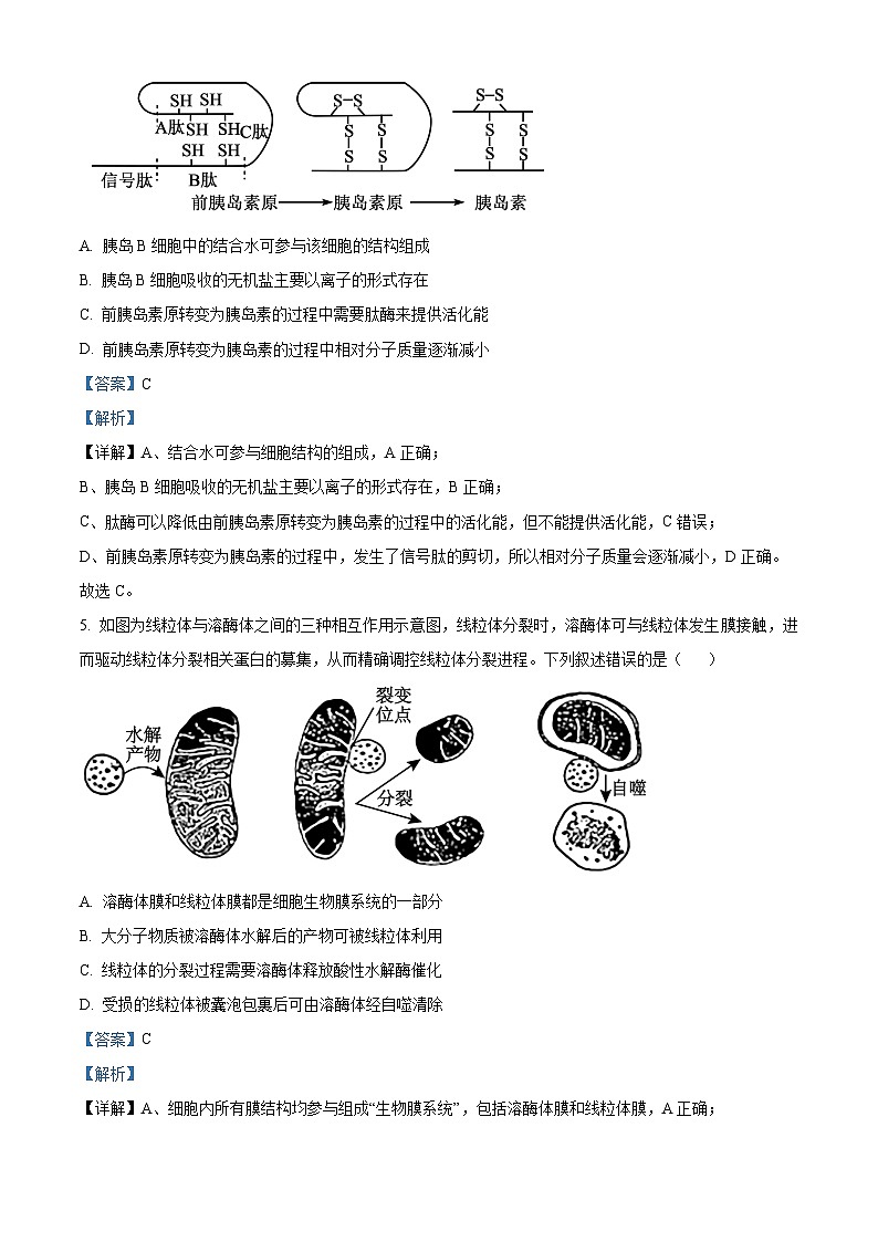 安徽省江南十校2026届高三上学期10月第一次综合素质检测生物试卷 Word版含解析第3页