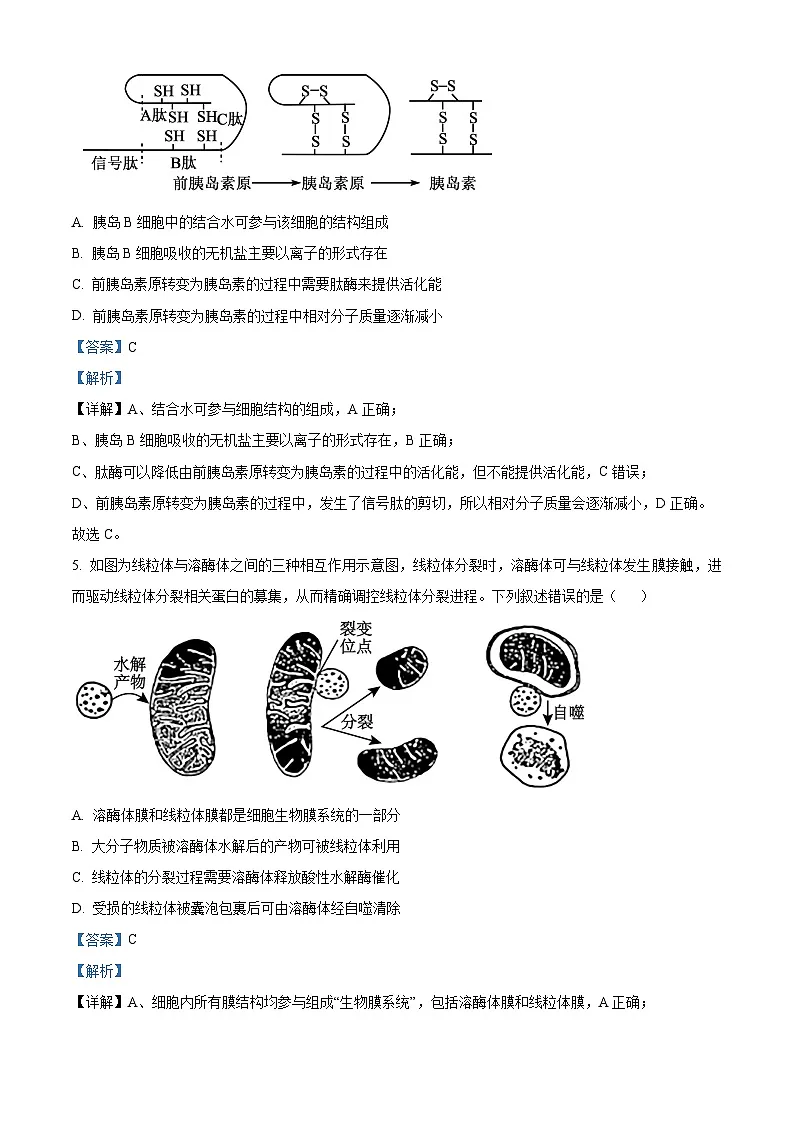 安徽省江南十校2026届高三上学期10月第一次综合素质检测生物试卷 Word版含解析第3页