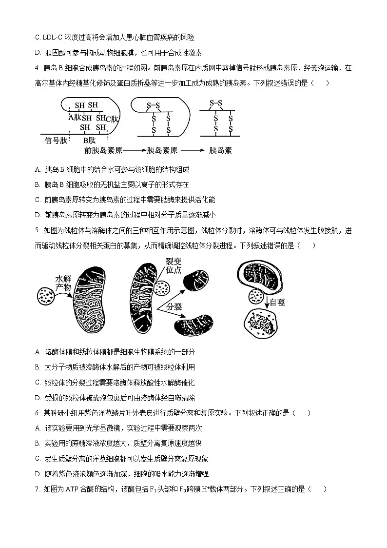 安徽省江南十校2026届高三上学期10月第一次综合素质检测生物试卷（原卷版）第2页