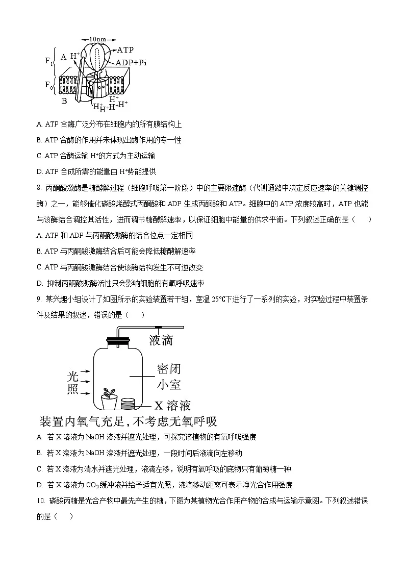 安徽省江南十校2026届高三上学期10月第一次综合素质检测生物试卷（原卷版）第3页