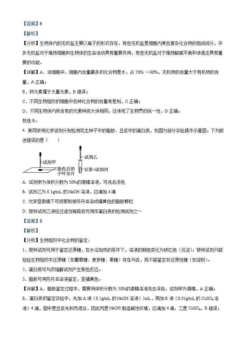 安徽省六安市第一中学2026届高三上学期10月月考生物试题 Word版含解析第3页