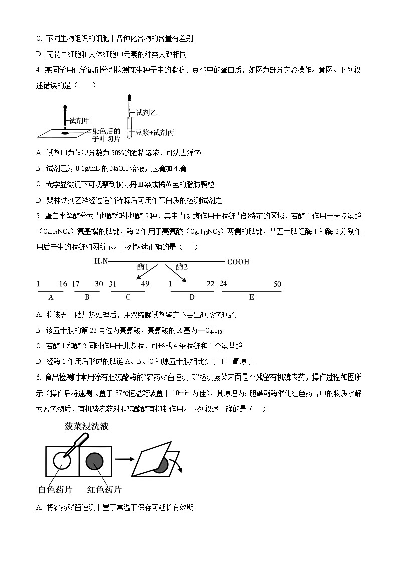 安徽省六安市第一中学2026届高三上学期10月月考生物试题（原卷版）第2页