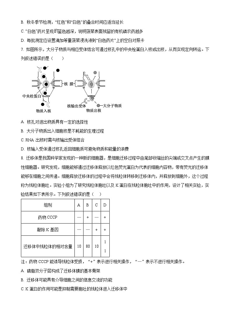 安徽省六安市第一中学2026届高三上学期10月月考生物试题（原卷版）第3页