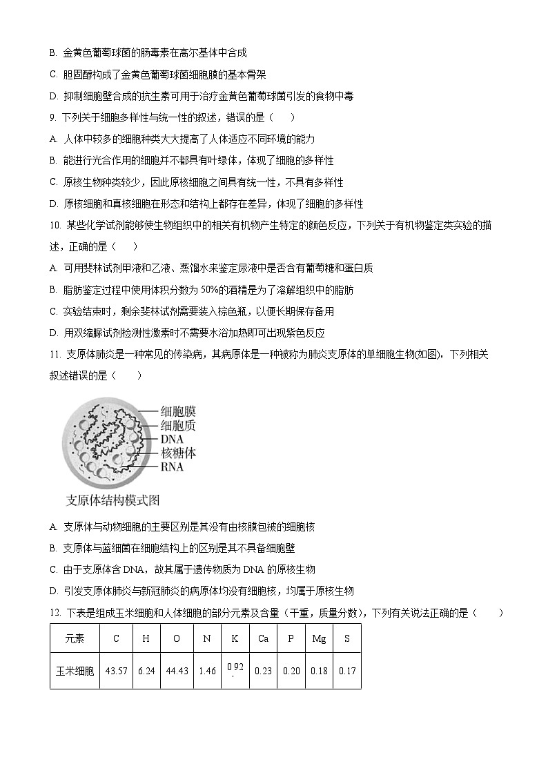 安徽省马鞍山市第二中学2025-2026学年高一上学期10月测试生物试卷（原卷版）第3页