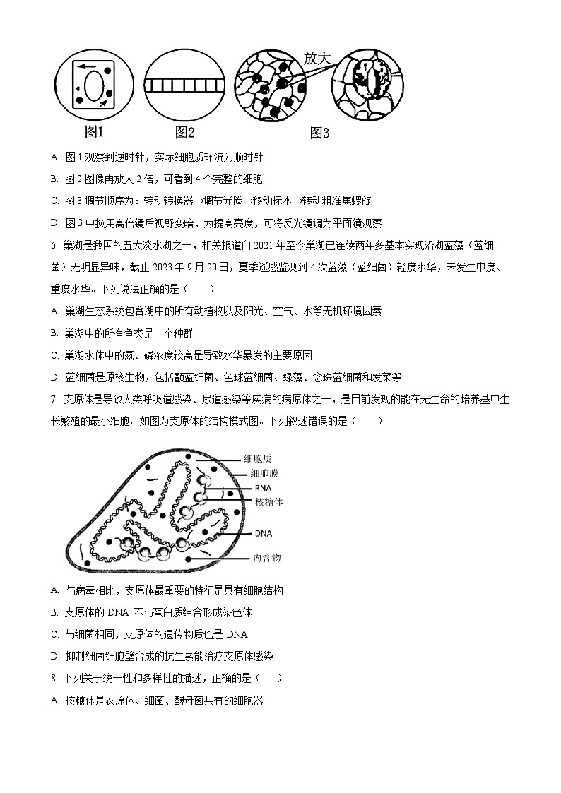 安徽省芜湖市第一中学2025-2026学年高一上学期10月月考生物试题（原卷版）第2页
