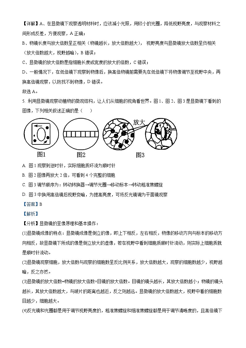 安徽省芜湖市第一中学2025-2026学年高一上学期10月月考生物试题 Word版含解析第3页