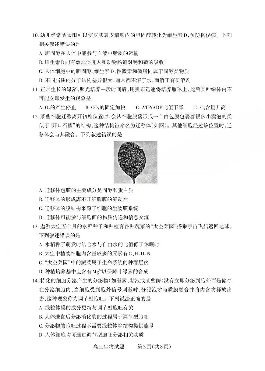 山西省三重教育2026届高三上学期10月学情检测生物试卷（月考）第3页