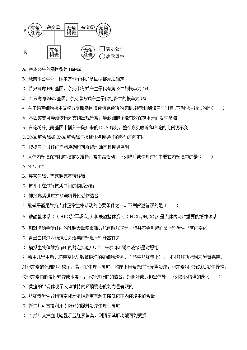 湖南省多校联考2025-2026学年高二上学期10月月考生物试题（原卷版）第2页