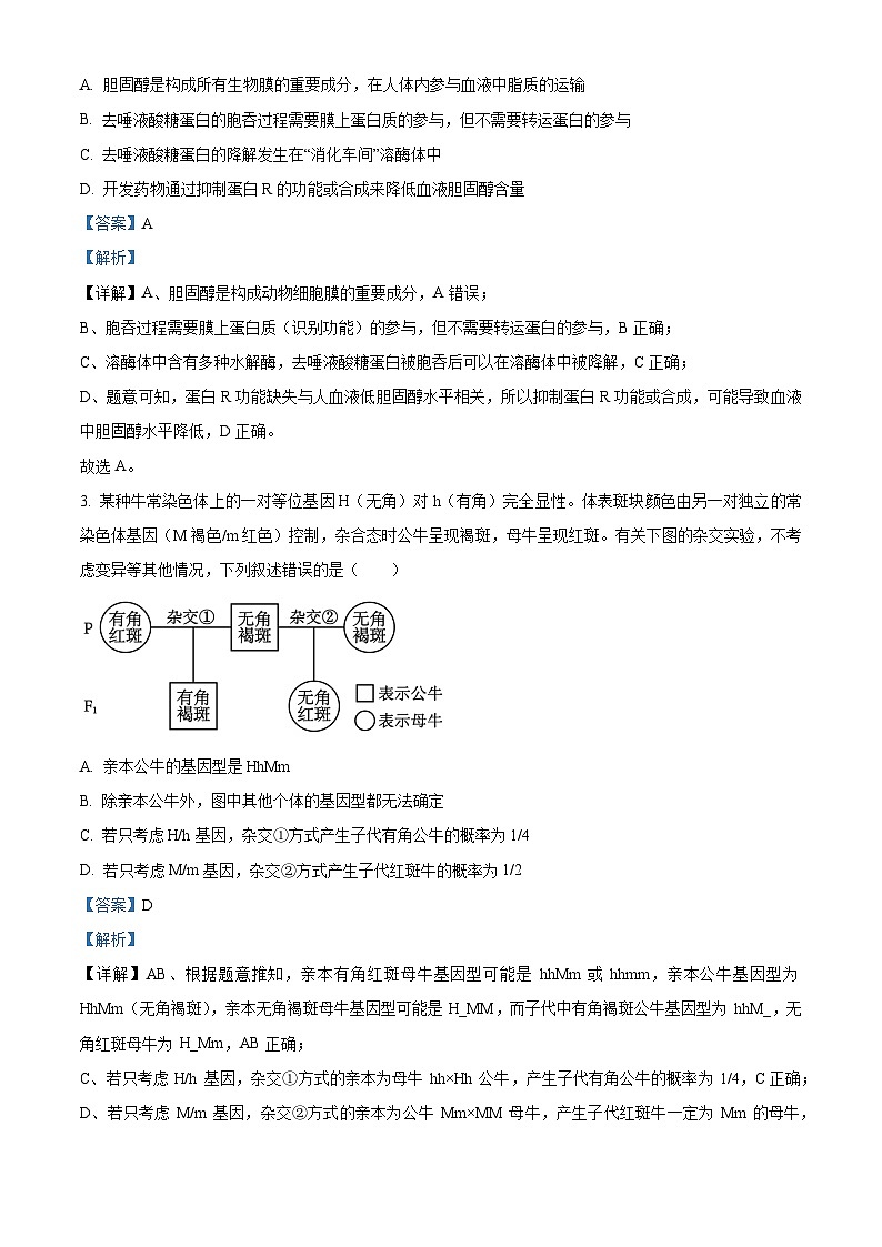 湖南省多校联考2025-2026学年高二上学期10月月考生物试题 Word版含解析第2页