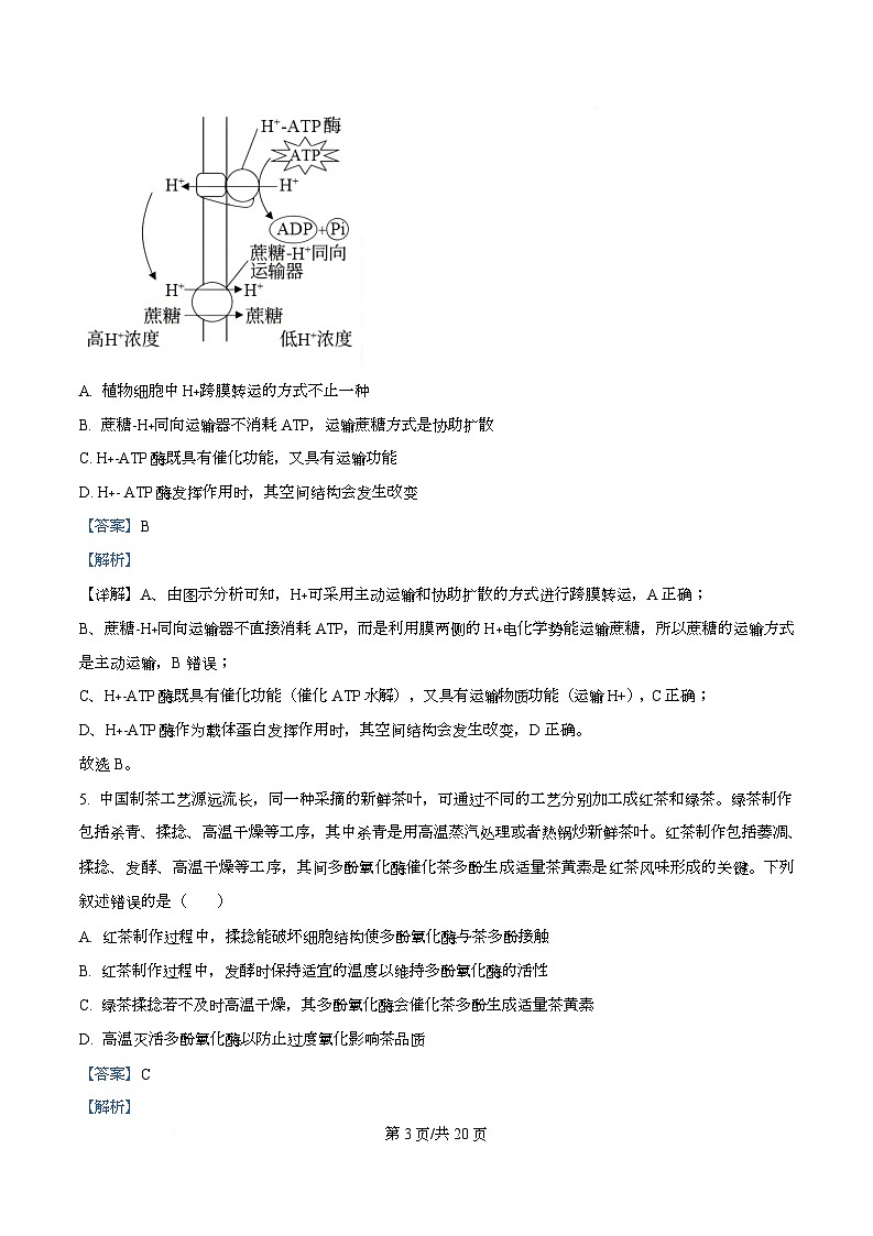 湖南省多校联考2026届高三上学期10月月考生物试题 Word版含解析第3页