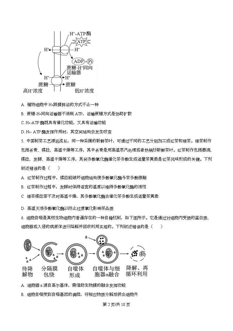湖南省多校联考2026届高三上学期10月月考生物试题（原卷版）第2页