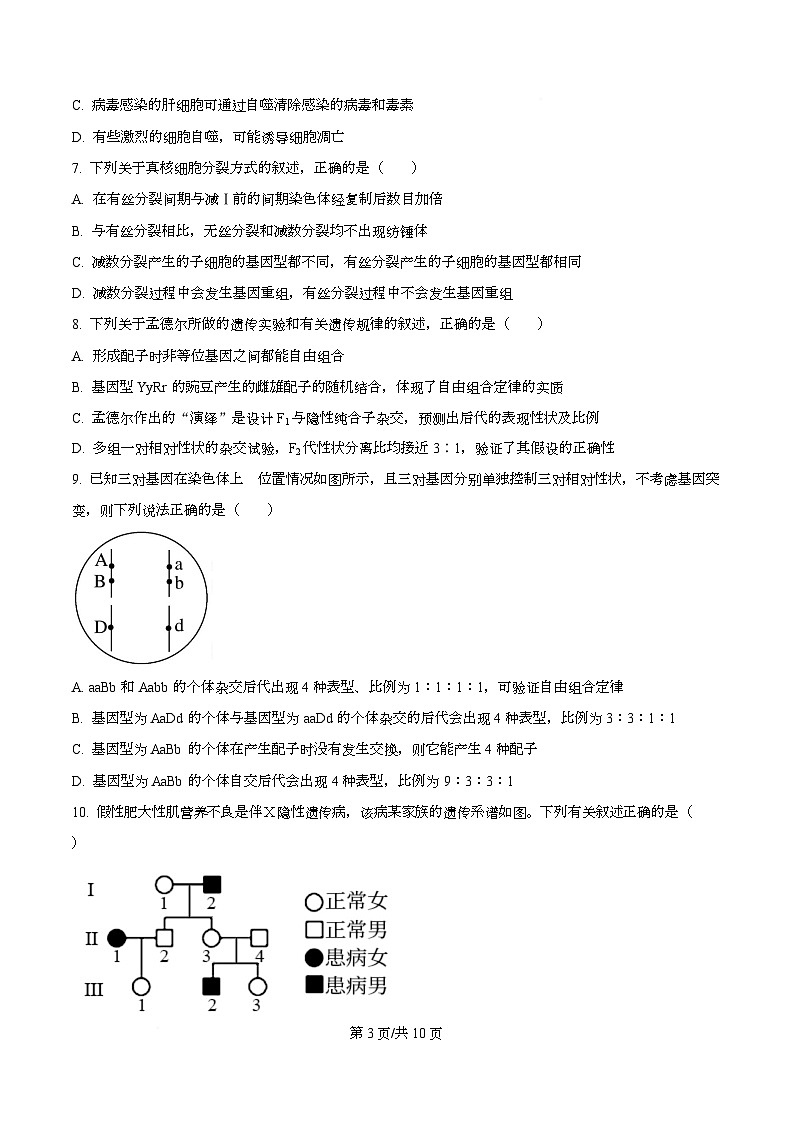 湖南省多校联考2026届高三上学期10月月考生物试题（原卷版）第3页