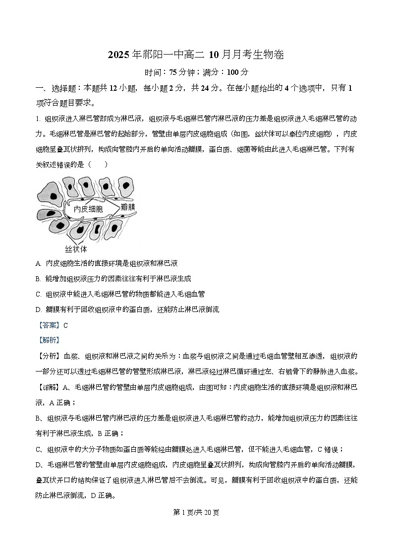湖南省永州市祁阳市第一中学2025-2026学年高二上学期10月月考生物试题 Word版含解析第1页