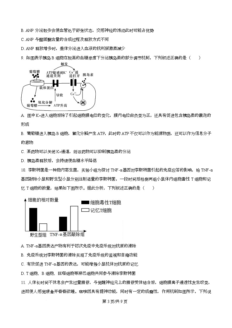 湖南省永州市祁阳市第一中学2025-2026学年高二上学期10月月考生物试题（原卷版）第3页