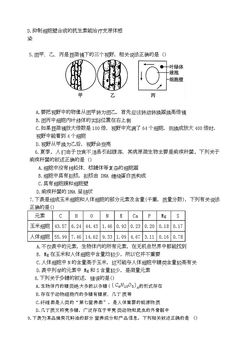 湖南省长沙市麓山国际实验学校2025-2026学年高一上学期10月月考生物试题第2页