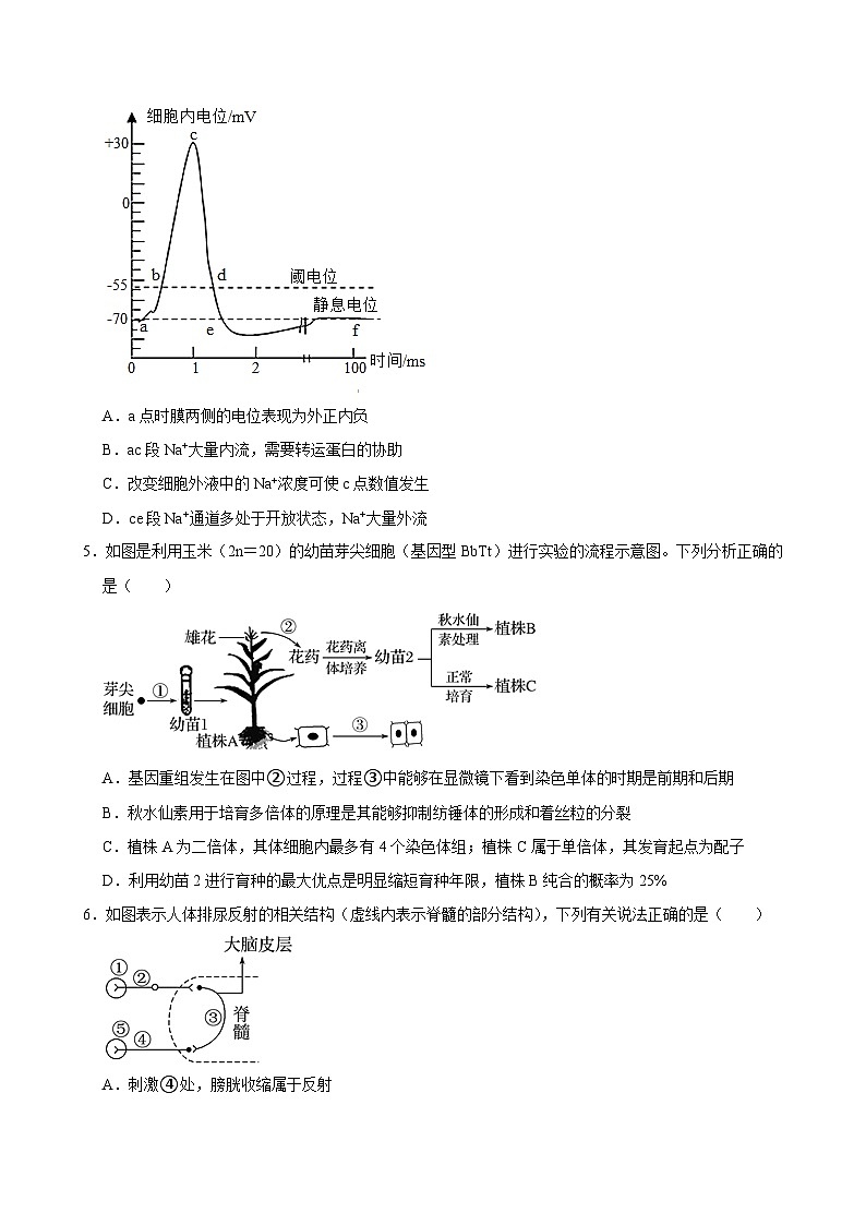 湖南省临湘市2024-2025学年高二上学期10月月考生物试题第2页