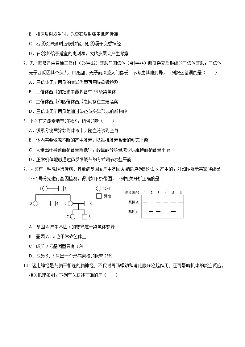湖南省临湘市2024-2025学年高二上学期10月月考生物试题第3页